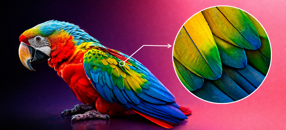 Print in Stunning Detail